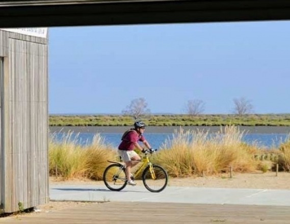 tagus_tejo-lisboa_nature_lisbon_bike_walk_14h